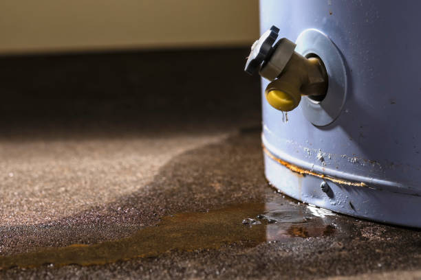 Best Ceiling water damage repair  in Jacksonville Beach, FL
