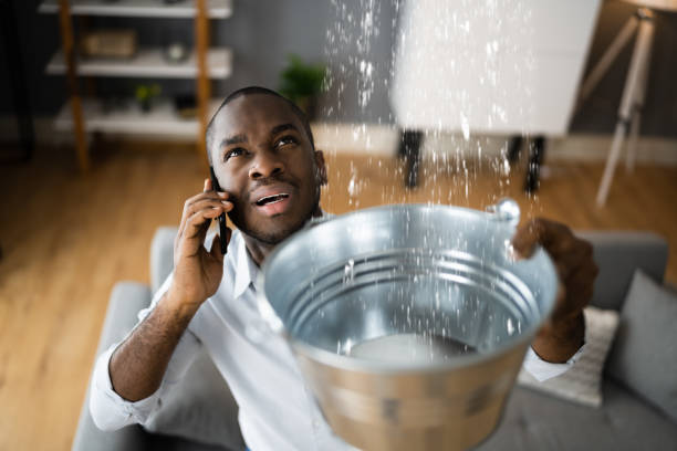 Best Water damage restoration services  in Jacksonville Beach, FL