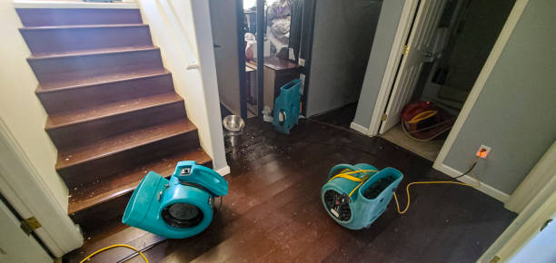 Best 24/7 water damage repair  in Jacksonville Beach, FL