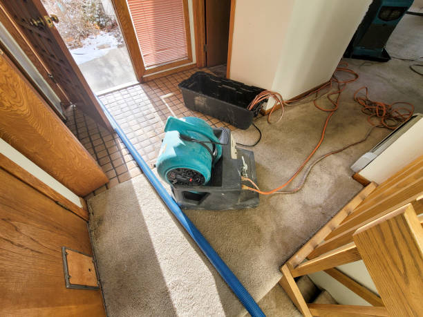 Best Water damage restoration near me  in Jacksonville Beach, FL