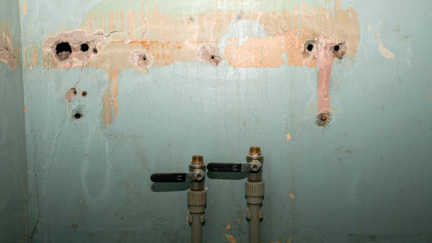 Best Water damage restoration process  in Jacksonville Beach, FL
