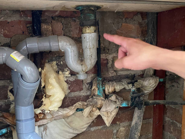 Best Local water damage restoration  in Jacksonville Beach, FL